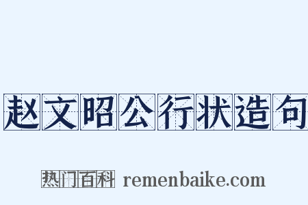 赵文昭公行状造句是什么意思的图片